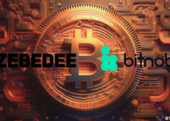 Bitcoin artwork with Zebedee and Bitnob logos