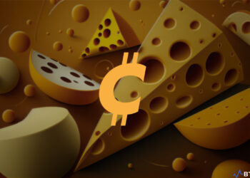 Chedda Token Ecosystem. Cheese background with Chedda Token logo|||||||
