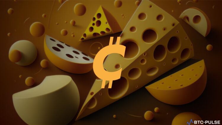 Chedda Token Ecosystem. Cheese background with Chedda Token logo|||||||