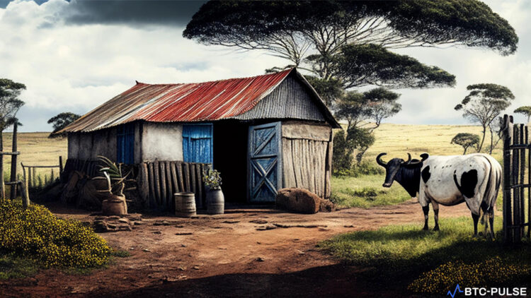 Kenyan farm