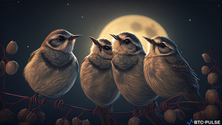 Artwork of the Moon birds