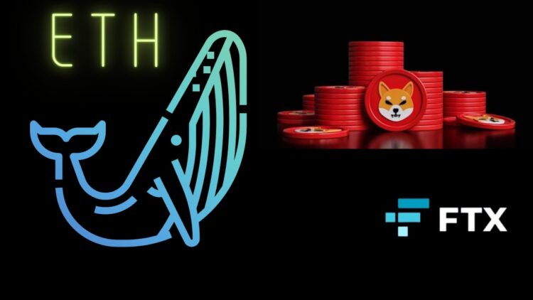 Ethereum Whales Hold the Largest Amount of SHIB And FTX Tokens