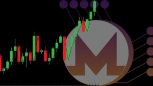Monero and Privacy Coins Outshined Bitcoin during the Crypto Crash