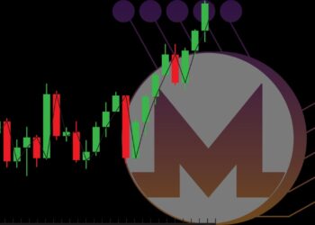 Monero and Privacy Coins Outshined Bitcoin during the Crypto Crash