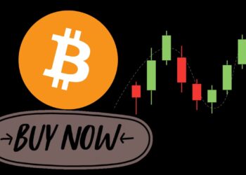 Massive Bitcoin Buying Observed on Bitfinex