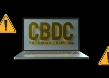 Bruce Fenton recently called CBDCs a dangerous tool. The seasoned Politician believes the government will have total control of users' funds with CBDCs.