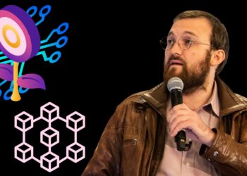 Cardano Founder: "Crypto is not about Wen Moon and Yields"