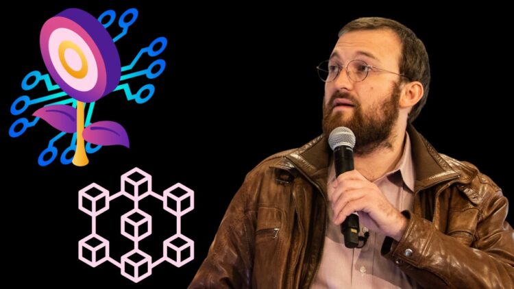 Cardano Founder: "Crypto is not about Wen Moon and Yields"