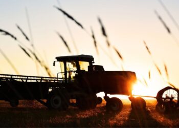 Global Pharmaceutical Bayer to Integrate Nori for Sustainable Farming