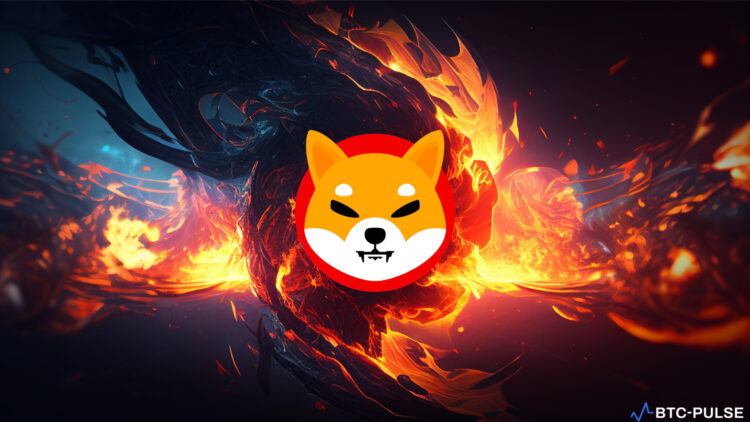 A group of Shiba Inu dogs symbolizing the massive token burn and rising adoption of the cryptocurrency.