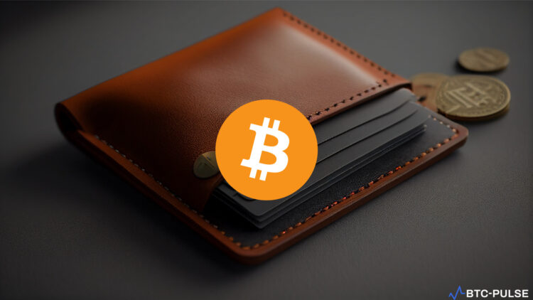 Digital representation of a mysterious Bitcoin wallet surrounded by question marks.