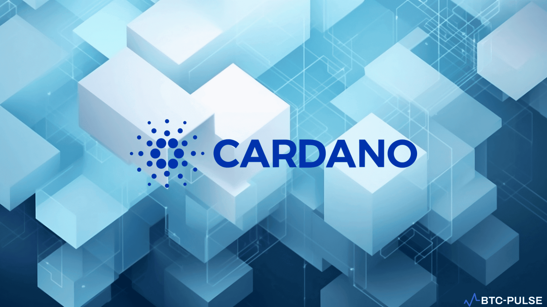 Cardano's Deliberate Progress: A Reflection of Its Academic Foundations, Says CEO